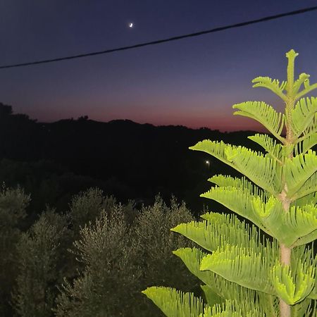 Spitikariotiko Ikarian Cottage Raches  Dış mekan fotoğraf