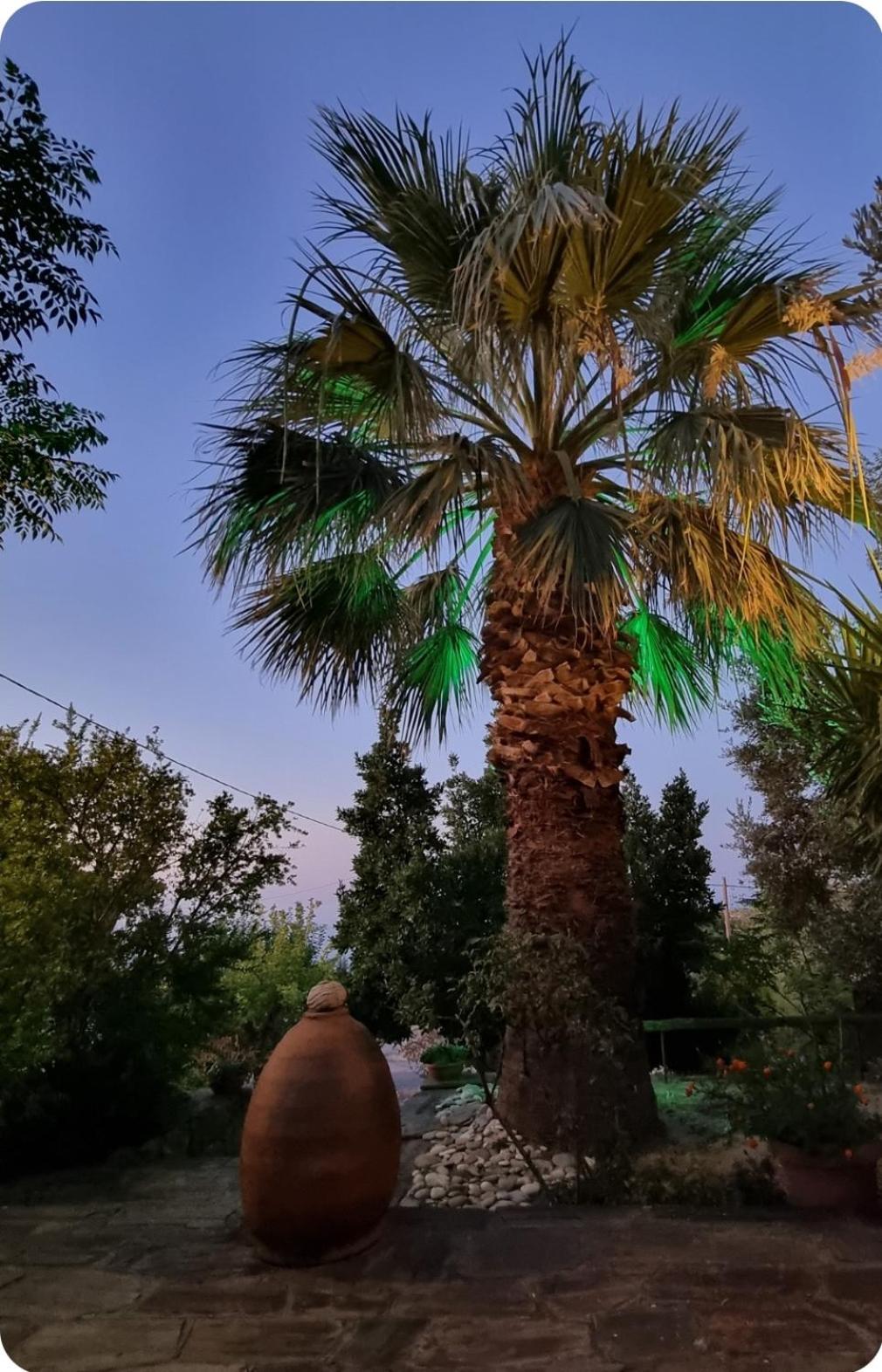 Spitikariotiko Ikarian Cottage Raches  Dış mekan fotoğraf