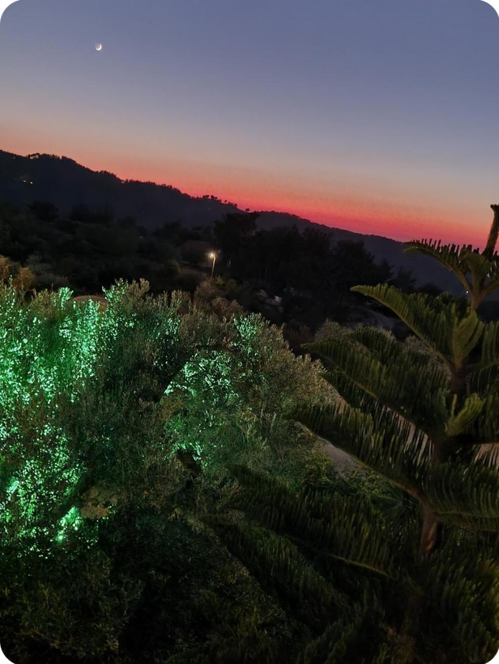 Spitikariotiko Ikarian Cottage Raches  Dış mekan fotoğraf